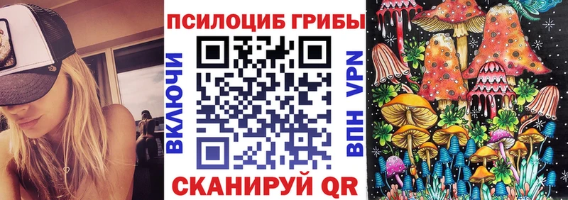 Псилоцибиновые грибы Psilocybe  Азнакаево 